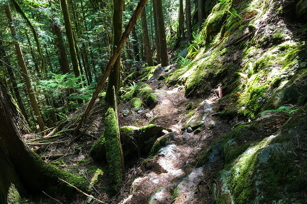 A portion of the Crooked Falls trail